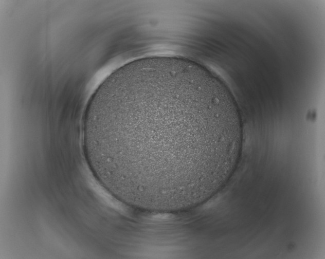 X0000112361467200908201452