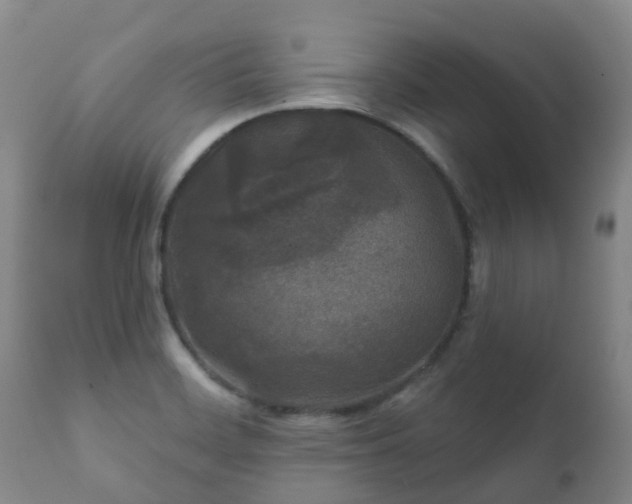 X0000112361468200908201452