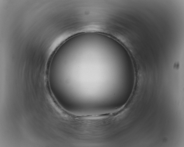 X0000112361469200908201452