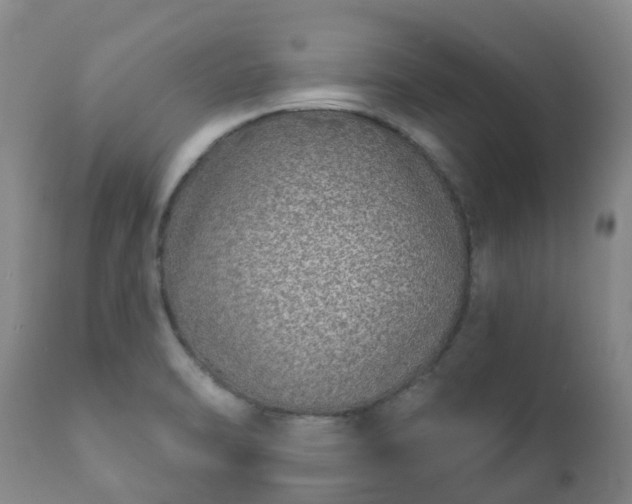 X0000112361470200908201452