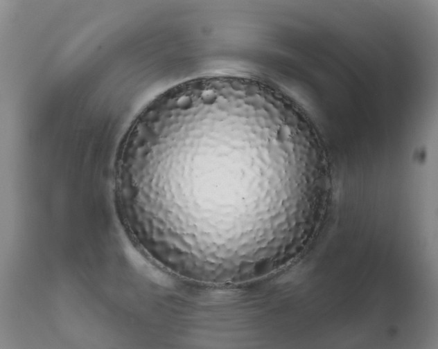 X0000112361471200908201452