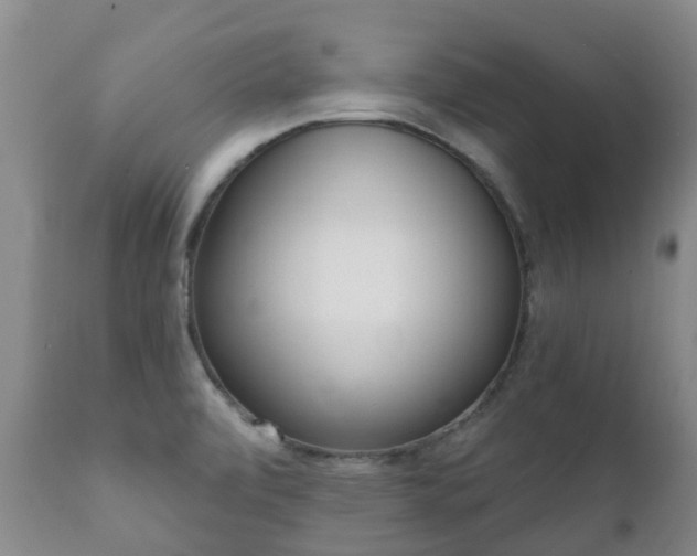 X0000112361472200908201451