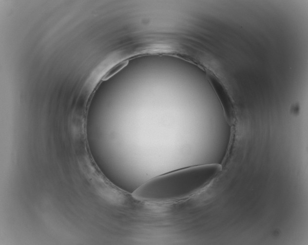 X0000112361473200908201451