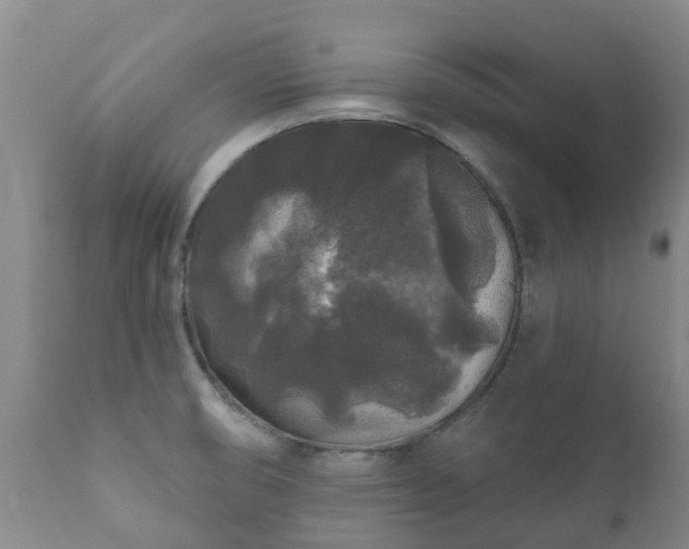 X0000112361474200908201451