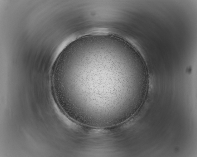 X0000112361475200908201451
