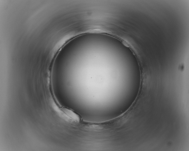 X0000112361476200908201451