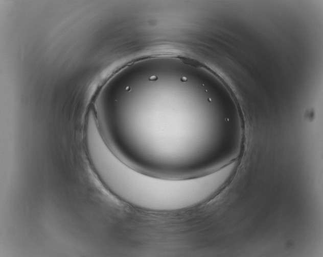 X0000112361477200908201451
