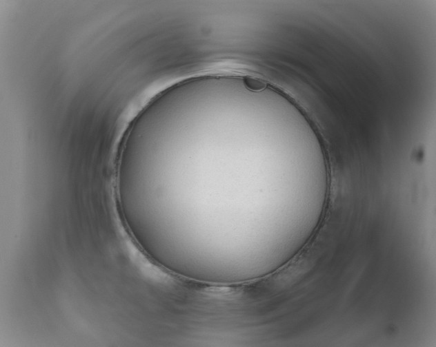 X0000112361478200908201451