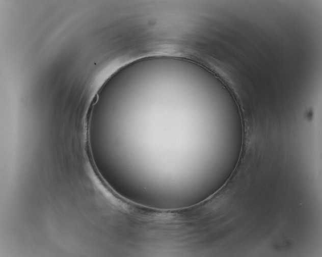 X0000112361479200908201451
