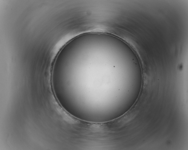 X0000112361480200908201451