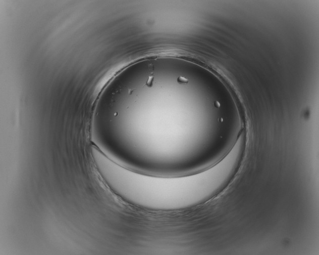 X0000112361481200908201451