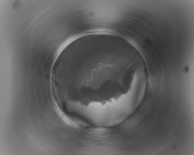 X0000112361482200908201451