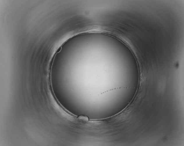 X0000112361483200908201451