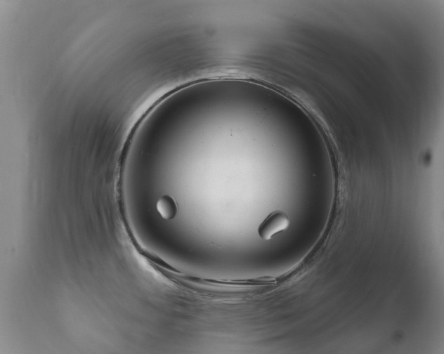 X0000112361484200908201451