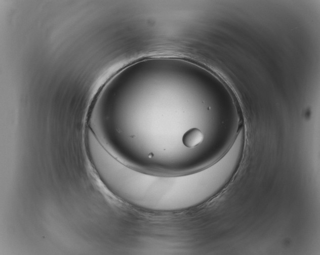 X0000112361485200908201451