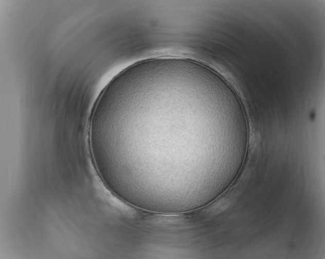 X0000112361486200908201451