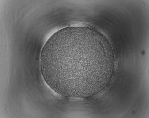 X0000112361487200908201451