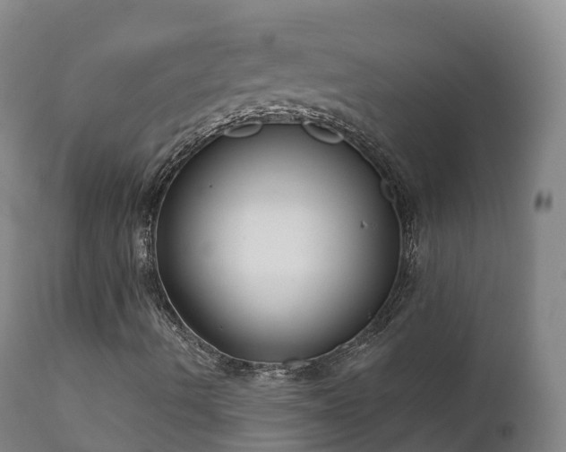 X0000112361490200908201450