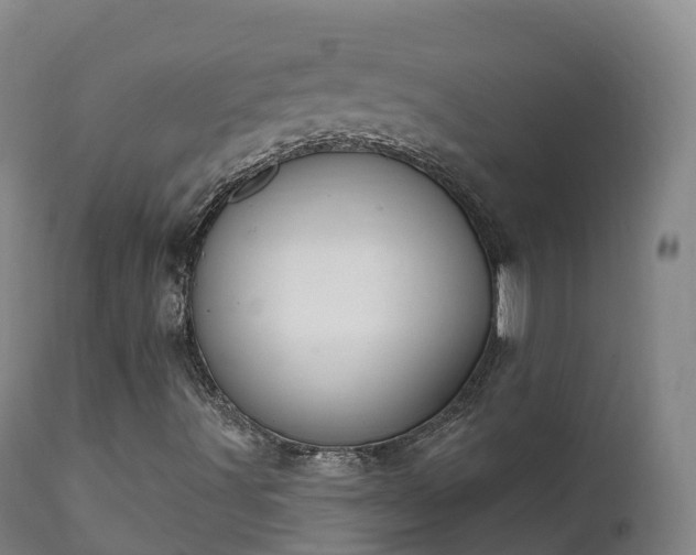 X0000112361491200908201450