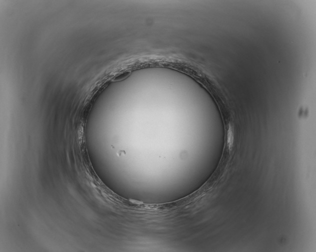 X0000112361492200908201450