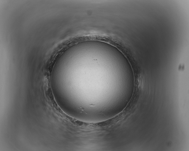 X0000112361493200908201451