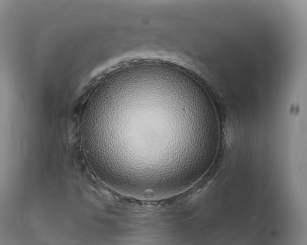 X0000112361494200908201451