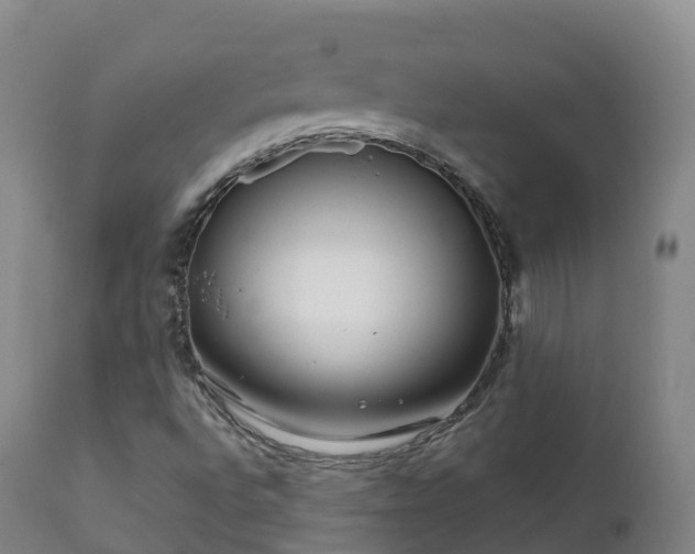 X0000112361496200908201451