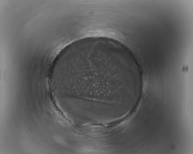 X0000112361497200908201451