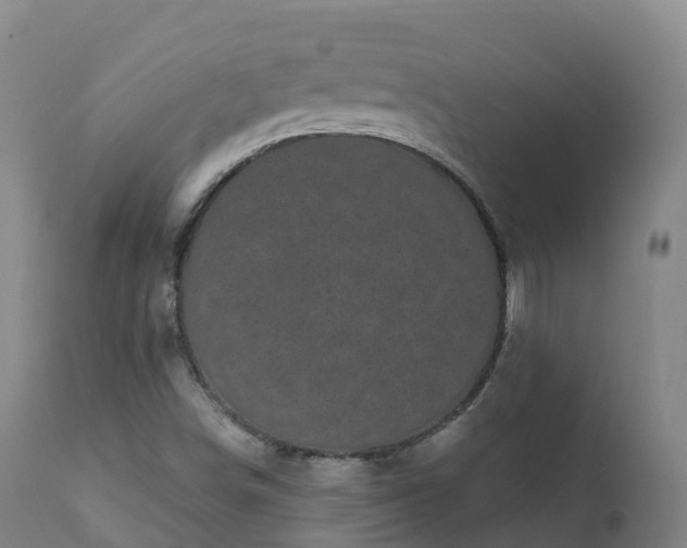 X0000112361498200908201451