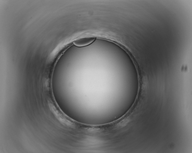 X0000112361499200908201451