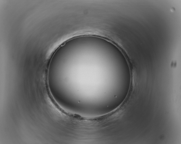 X0000112361500200908201451
