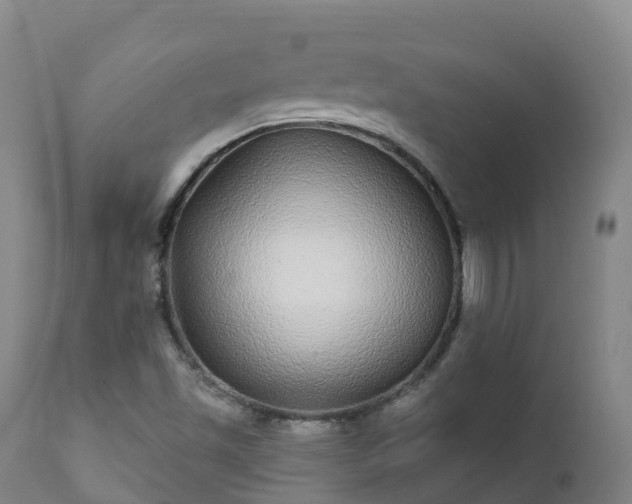 X0000112361501200908201451
