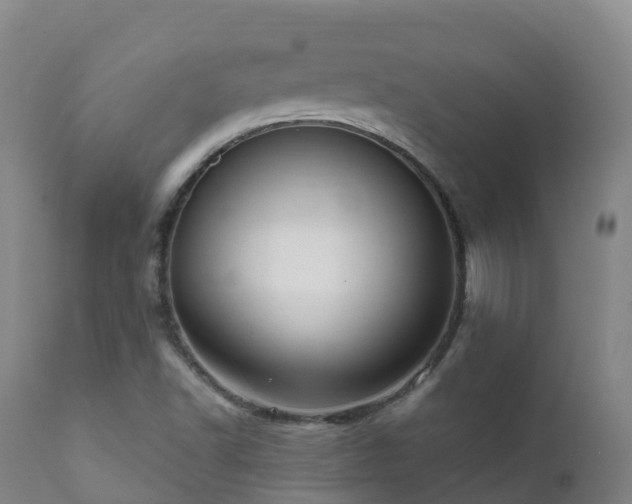 X0000112361502200908201451