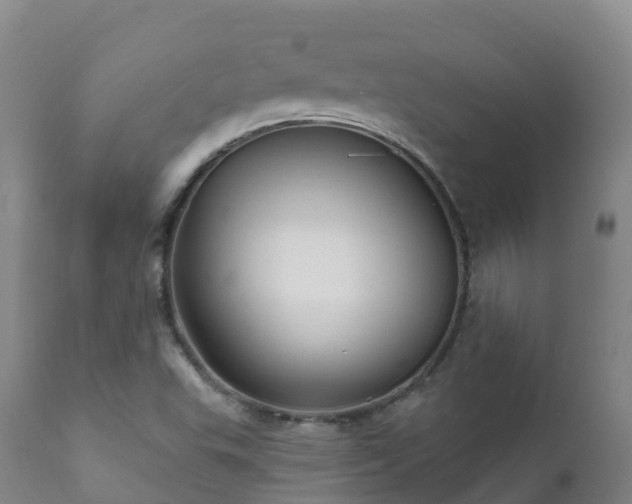 X0000112361503200908201451
