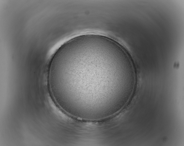 X0000112361504200908201451
