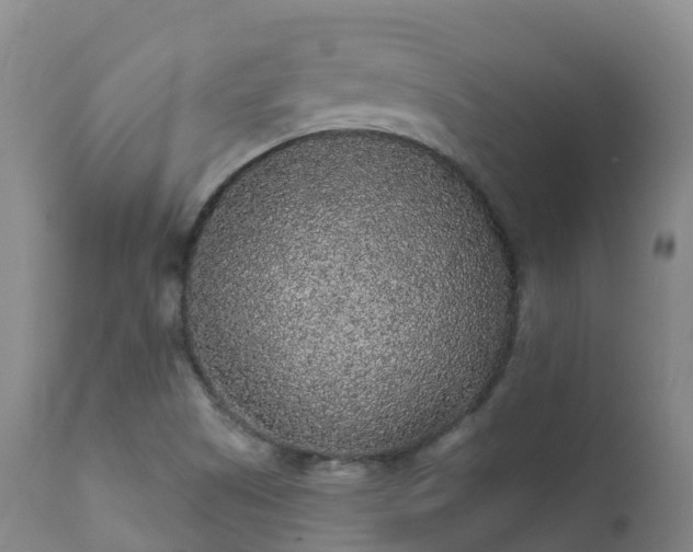 X0000112361505200908201451