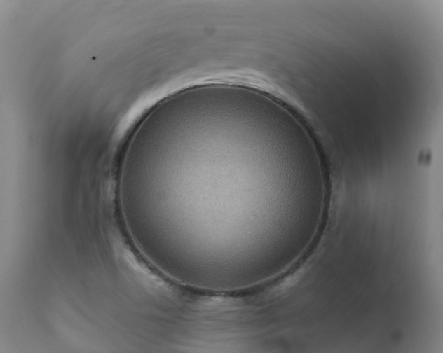 X0000112361506200908201451