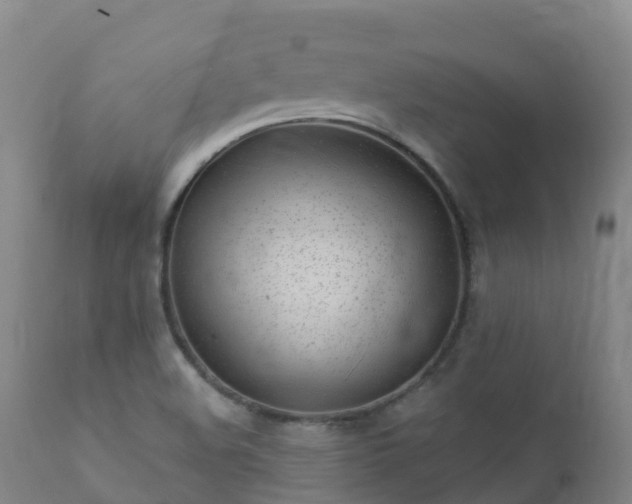 X0000112361508200908201451