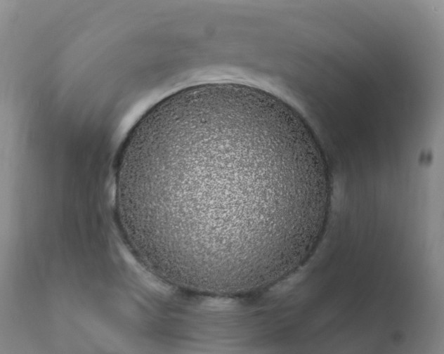 X0000112361509200908201451