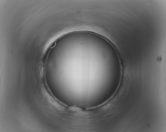 X0000112361510200908201451