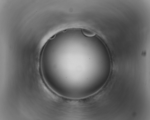 X0000112361512200908201451