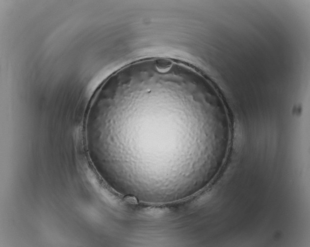 X0000112361513200908201451