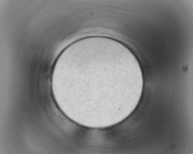 X0000112361514200908201451