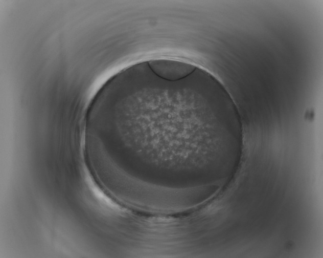 X0000112361515200908201451