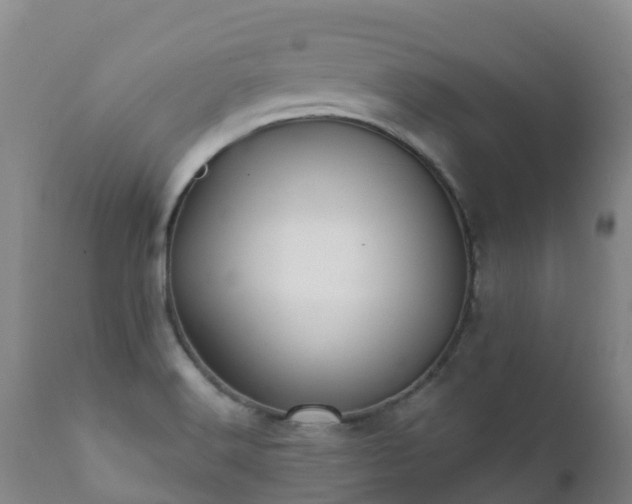 X0000112361516200908201451