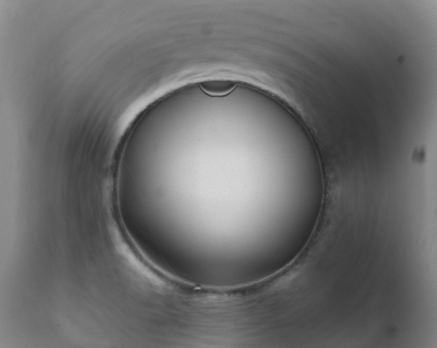 X0000112361518200908201451