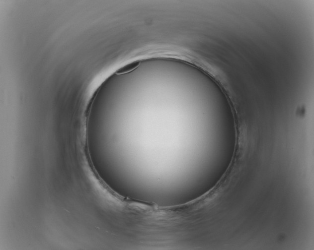 X0000112361520200908201451
