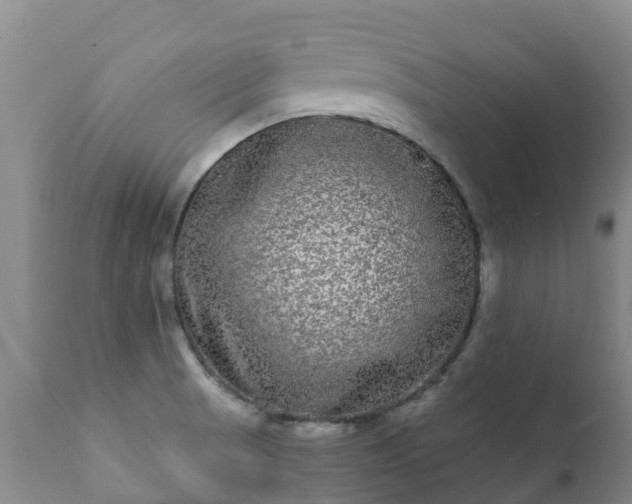 X0000112361521200908201451