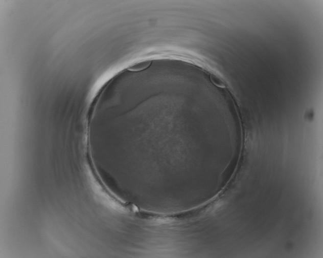 X0000112361522200908201451