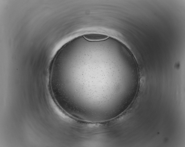X0000112361523200908201451